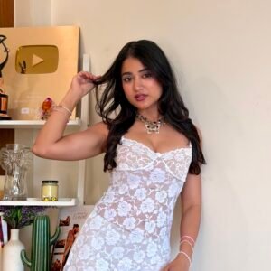 Sheer Lace Dress